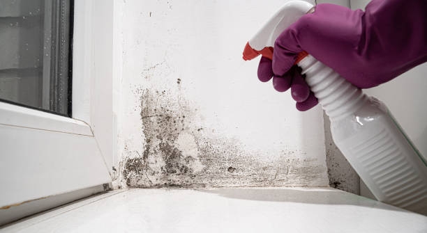 Water damage restoration insurance claims in Bloomingdale, NJ